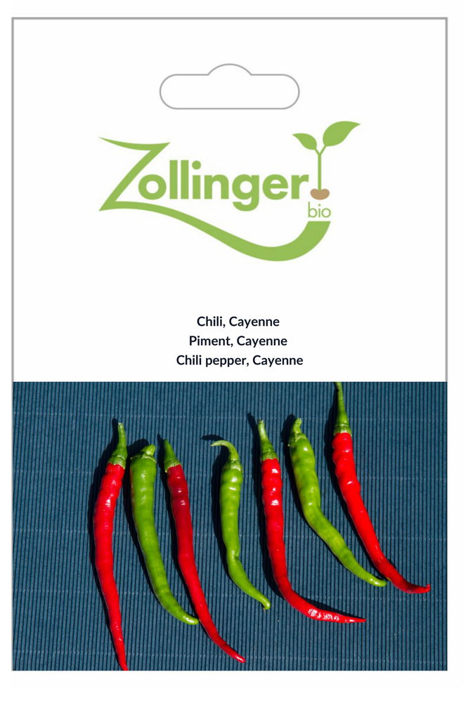 Buy Chili pepper, Cayenne seeds | Zollinger Bio